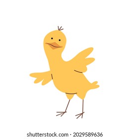 Pollo vectorial divertido aislado en un fondo blanco. Ave doméstico de dibujos animados. Carácter de vectores secundarios.