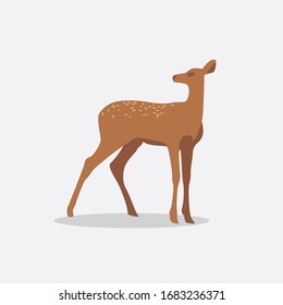 Vector of funny Deers. Sika Deers, Reindeers, Stags. Isolated in white background. Children book.