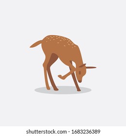 Vector de divertidos ciervos. Sika Deers, Renos, Estags. Aislado de fondo blanco. Libro infantil.