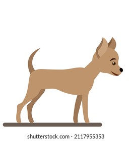 Vektor-lustige Hunde, brauner Hund einzeln auf weißem Hintergrund