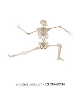 Vector funny human skeleton dancing. Body anatomy with skull, bones having fun. Dead man moving in funny position. halloween holiday, scary design decoration.