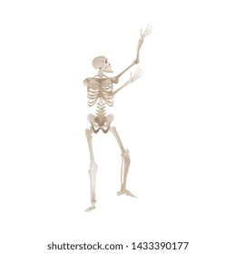 Vector funny human skeleton dancing. Body anatomy with skull, bones having fun. Dead man moving in funny position. halloween holiday, scary design decoration.