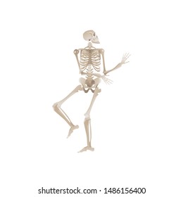 Vector funny human skeleton dancing. Body anatomy with skull, bones having fun. Dead man moving in funny position. halloween holiday, scary design decoration.