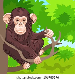 vector funny monkey chimp  sitting on the branches of a tree in the jungle