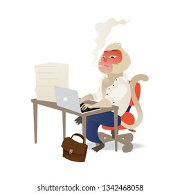 Vector funny monkey office character sitting at workplace typing at laptop smoking cigarette. Bossy ape in office suit. Clerk animal manager isolated