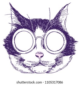 Vector Funny muzzle steampunk cat in sunglasses closeup. Cool always. portrait cool cat