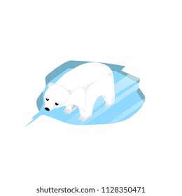 Vector Funny Paper box animal,Vector Polar Bears on the ice lake 