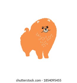 Vector funny Pomeranian dog. Doodle illustration isolated on white background