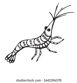 Vector. Funny prawns, sea dweller, crustacean, delicious food. Isolated on white background, flat style. Coloring book, page for adults and children. For the design of books, magazines, posters.