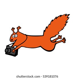 Vector funny red squirrel with photography camera