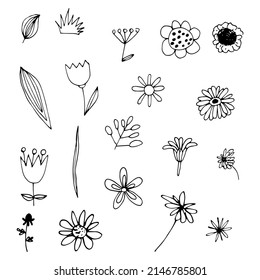 Vector funny set of wildflowers doodles on background.