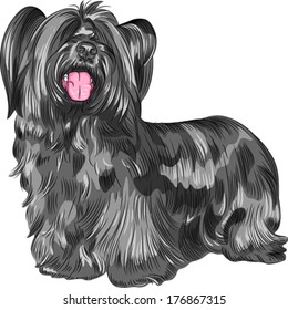 Vector Funny shaggy smiling dog Skye Terrier  breed