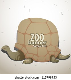 vector funny zoo banner, turtle