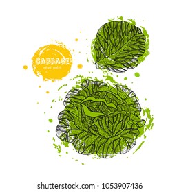 Vector gabbage hand drawn illustration in the style of engraving. Detailed vegetarian food drawing. Farm market product. Grunge illustration for create the menu, recipes, decorating kitchen items