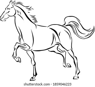 Vector of a galloping horse