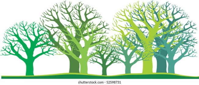vector garden