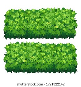 Vector Garden Bush Isolated Shrub Hedge. Green Bush Cartoon Grass Shrubbery Plant