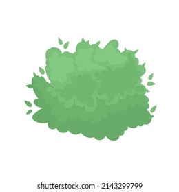 Vector garden bush isolated shrub hedge. Green bush cartoon grass shrubbery plant.