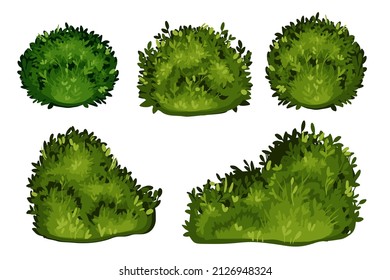 Vector Garden Bush Set, Green Shrub Hedge Collection, Spring Forest Landscape Objects On White. Park Vegetation Illustration, Nature Floral Icons, Outdoor Decorative Elements. Garden Bush Clipart