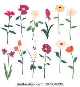 Vector garden and field spring flowers with leaves, flowering plants, twigs, silhouettes, floral flat design, hand drawing, multicolored blooming flowers, isolated on white background