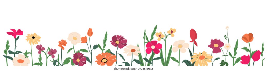 Vector garden and field spring flowers with leaves, flowering plants, horizontal banner, floral flat design, hand drawing, multicolored blooming flowers, isolated on white background