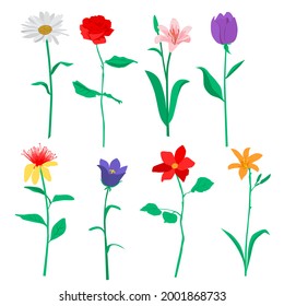 Vector garden and field spring flowers with leaves, flowering plants, twigs, silhouettes, floral flat design, hand drawing, multicolored blooming flowers, isolated on white background