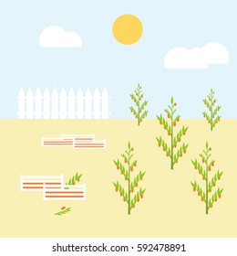 Vector garden flat illustration. Landscape with plants, sun and clouds.
