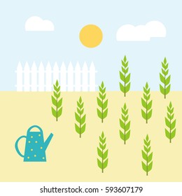 Vector garden flat illustration. Watering young plants. Colorful garden landscape with plants, can, fence, sun and clouds. 