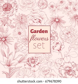 vector garden flowers set