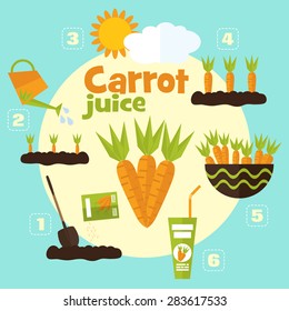 Ilustración vectorial de jardín en estilo plano. Plantando zanahorias, cosechando, transformando zanahorias en jugo.
