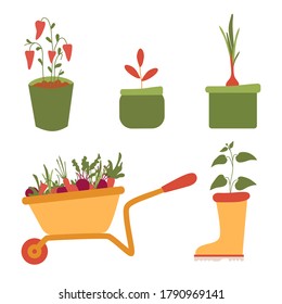 Vector garden set. Collection of gardening plants in the pots.