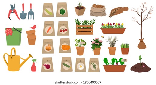 Vector garden set with flowers, watering can, vegetable seeds, seedlings, plants, seedlings.  The concept of gardening, agriculture and floriculture.   Flat cartoon isolated illustrations.