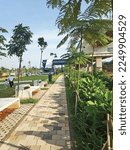 vector garden sidewalk illustration template