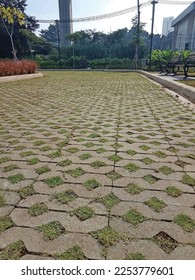 vector garden sidewalk illustration template