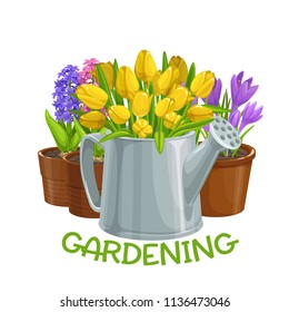 Vector gardening banner with watering can, flowers in pots tulips, hyacinths and crocus for design products garden center. Cartoon style.