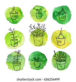 vector gardening doodle set, home and garden plants, hand drawn isolated design hortyculture elements at green watercolor background