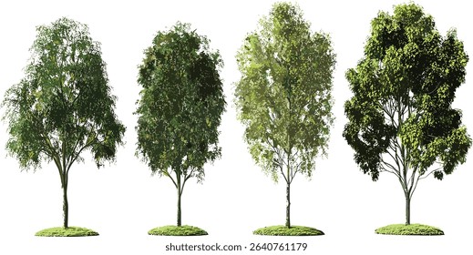 Vector gardening, isolated trees, transparent background, nature growth, standing trees, plant shapes, environmental design, green gardening, landscape design, natural plants