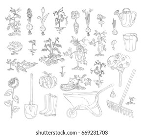 vector gardening set coloring book