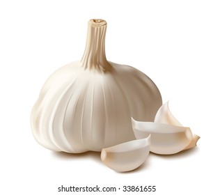 Vector. Garlic.