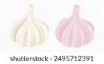 Vector Garlic Bulb Icon Set. Two Garlic Heads, Pink and Yellow or Beige Color, Closeup Isolated. Vegetable Vector Illustration in Flat Style. Whole Hand Drawn Garlic Head. Culinary and Food Concept