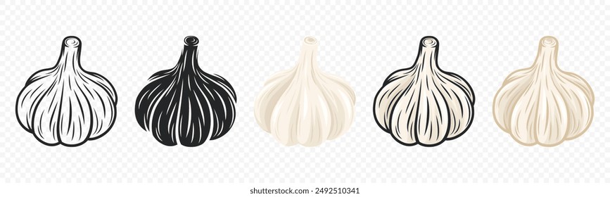 Vector Garlic Bulb Icon Set Closeup, Isolated. Vegetable Vector Illustration. Whole Garlic Head in Flat Style. Hand Drawn Seasoning Spice and Food Design Element