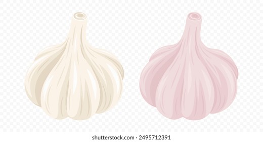 Conjunto de iconos de bombilla de ajo de Vector. Dos cabezas de ajo, color rosa y amarillo o beige, primer plano aislado. Ilustración vectorial vegetal en estilo plano. Cabeza De Ajo Dibujado A Mano Entero. Concepto culinario y alimentario