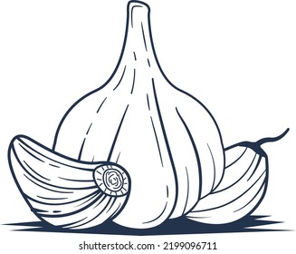 Vector Garlic Clove Hand Drawing, Vintage Garlic Cloves Illustration. Smelly Cooking Food. Tasty Vegan Dish.