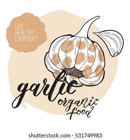 Vector garlic. Handwritten unique lettering. Hand drawn objects for menu design. Organic and healthy food collection. 