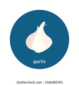Vector garlic icon isolated on white background.  Flat blue circle icon with vegetable. Healthy food. 