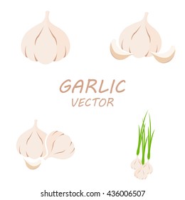 Vector Garlic icons set on white background