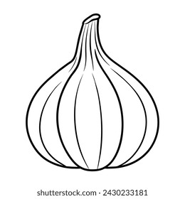 Vector of garlic illustration coloring page for kids 