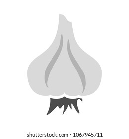 vector Garlic illustration isolated - healthy vegetable, nutrition icon - veggie food