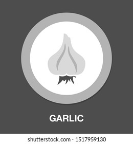 vector Garlic illustration isolated - healthy vegetable, nutrition icon - veggie food