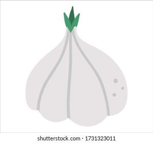 Vektor Knoblauch auf weißem Hintergrund. Symbol für gesunde Lebensmittel Gemeine Abbildung. Flat Hand gezeichnete organische Nährwertprofil. 